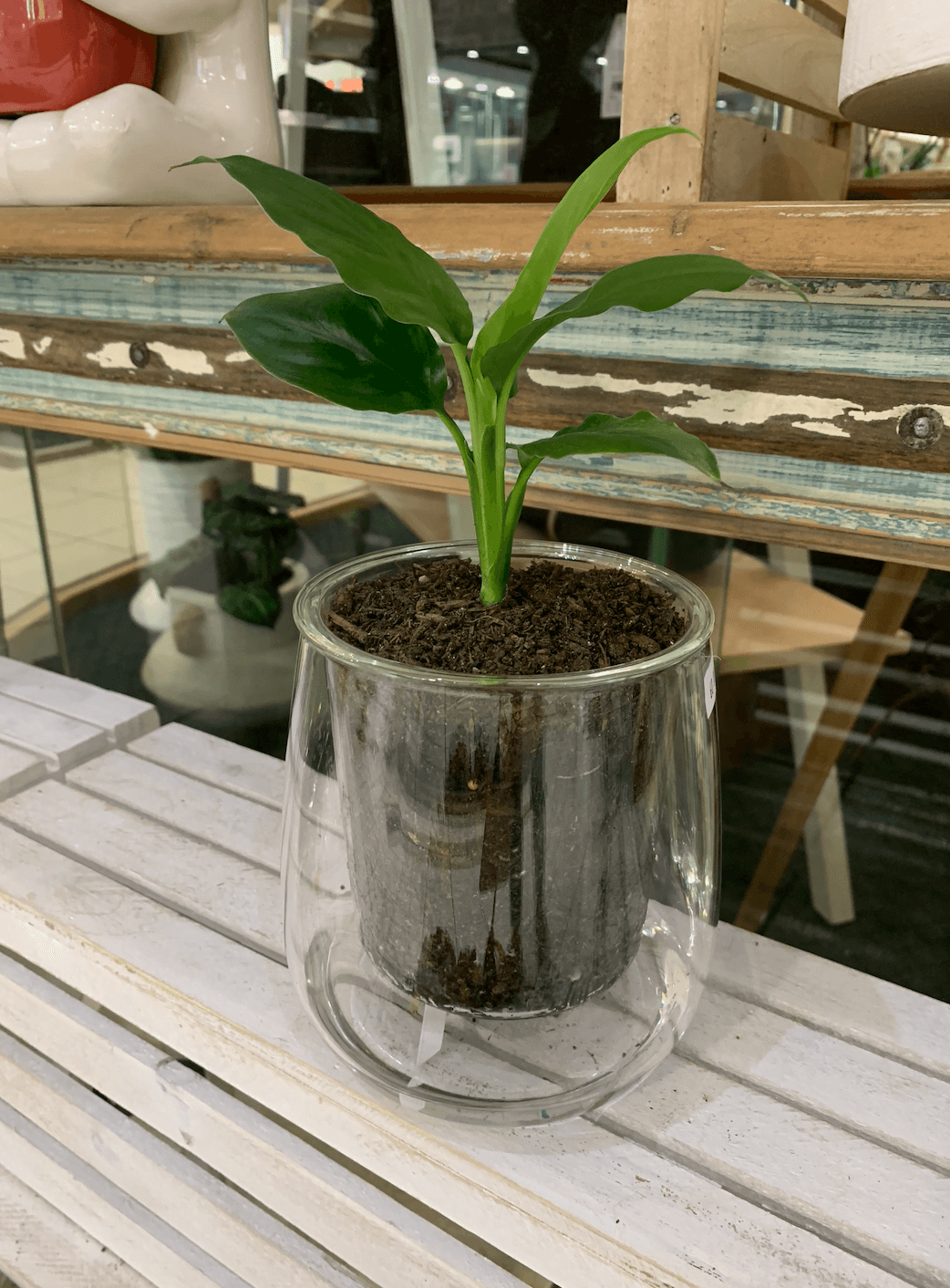 Cup O Flora - Image 6
